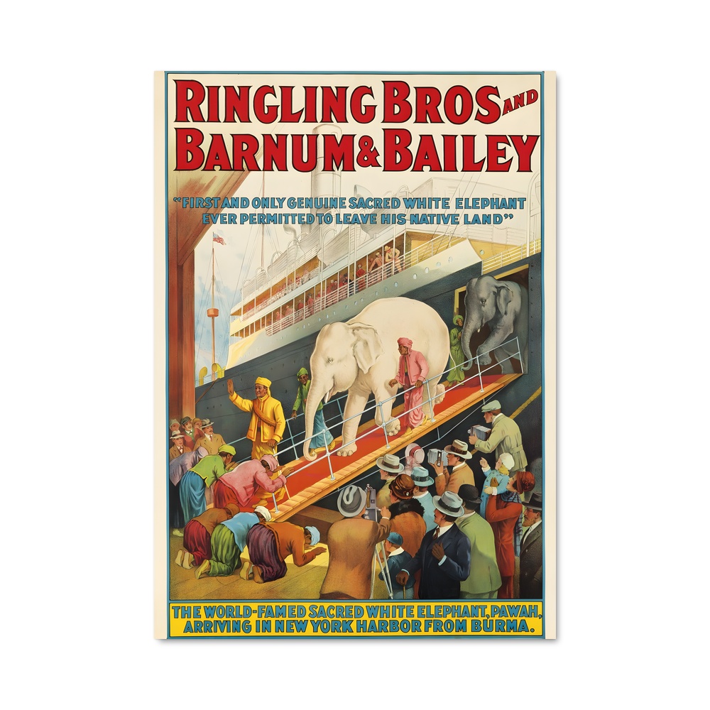 Poster Ringling brothers